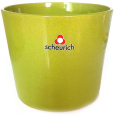 Obal 870 Avocado lesk 12