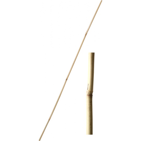 Tyč bambusová 120 cm tl. 12-14 mm