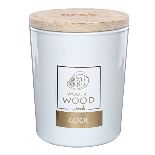 Svíčka sklo - MAGIC WOOD 300 g - Cool (cena bez slev)