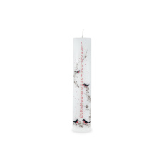 Svíčka adventní Calendar Dreaming Pillar 50 x 250 mm - bílá Svíčka adventní Calendar Dreaming Pillar 50 x 250 mm - bílá