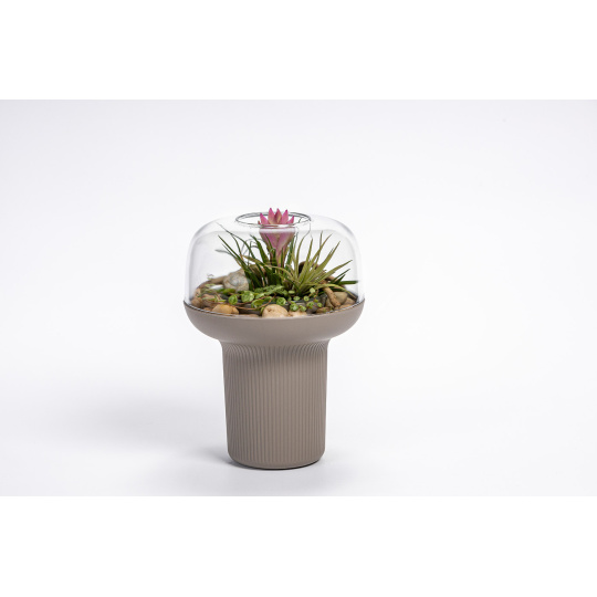 Humidárium - taupe 19  cm