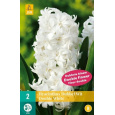 Karta - Hyacint Double - White (3 cibule) "C"