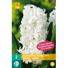 Karta - Hyacint Double - White (3 cibule) "C" Karta - Hyacint Double - White (3 cibule) "C"