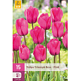 Karta XXL - Tulipán - Triumph Pink (15 cibulí) "E"