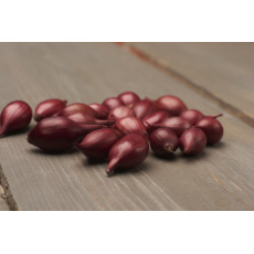 Sazečka - Akado červená ozimá 250 g (8-16mm) /cena bez slev/ Sazečka - Akado červená ozimá 250 g (8-16mm) /cena bez slev/