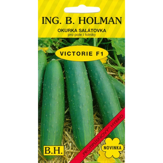 Okurka salát. Holman - Viktorie F1 1 g Okurka salát. Holman - Viktorie F1 1 g