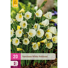 Karta XXL - Narcis - White Petticoat (20 cibulí) "E"