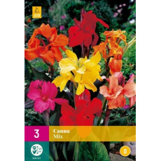 Karta XXL - Kana  MIX (3 hlízy) "D+"