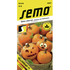 Tykev plazivá - Yellowbaby F1 (Halloween) (SM 395/18 B) 3g Tykev plazivá - Yellowbaby F1 (Halloween) (SM 395/18 B) 3g