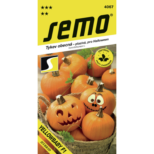 Tykev plazivá - Yellowbaby F1 (Halloween)  (SM 395/18 B) 3g