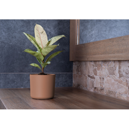 Obal Lora - mocha mousse 22 cm