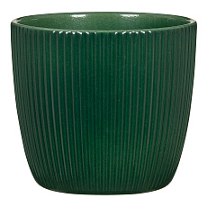 Obal 842 Dark green lesk 16
