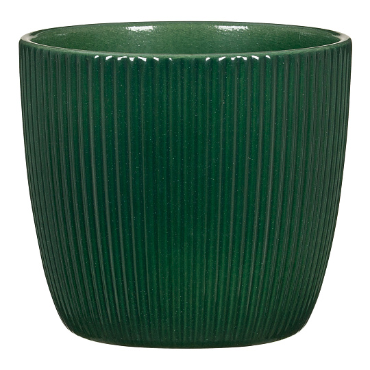 Obal 842 Dark green lesk 16
