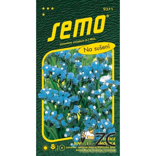 Limonka Statice sinuata - Heavenly Blue modrá 0,5g