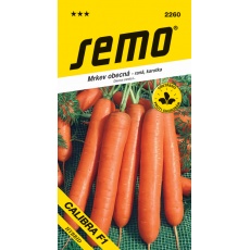 Mrkev Karotka - Calibra (Caravel) F1 velmi raná 0,8g