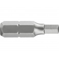 hrot imbus, H 2x25mm, S2