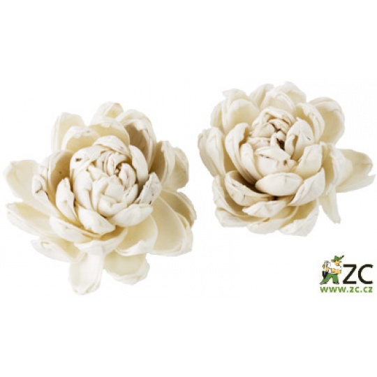 Dekorace - Sola Tim Gardenia Flower 6 cm - 2 ks