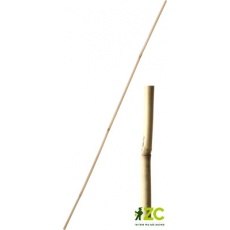 Tyč bambusová 180 cm tl. 22-24 mm