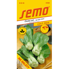 Zelí čínské - Canton (Cash) F1, typ Pak-Choy 0,4g (ZÁRUKA 2026)