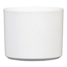 Obal 631 Panna mat 19