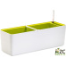 Truhlík samozavlažovací Berberis - bílá + zelená 60 cm
