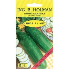 Okurka salát. Holman - Linda F1 1,5g Okurka salát. Holman - Linda F1 1,5g