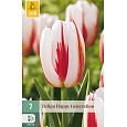Karta - Tulipán - Happy Generation (7 cibulí) "C"