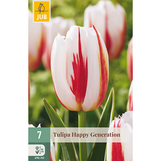 Karta - Tulipán - Happy Generation (7 cibulí) "C"