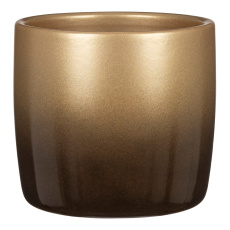 Obal 900 Nobel Gold lesk 18 /VÁNOCE DOPRODEJ/ Obal 900 Nobel Gold lesk 18 /VÁNOCE DOPRODEJ/