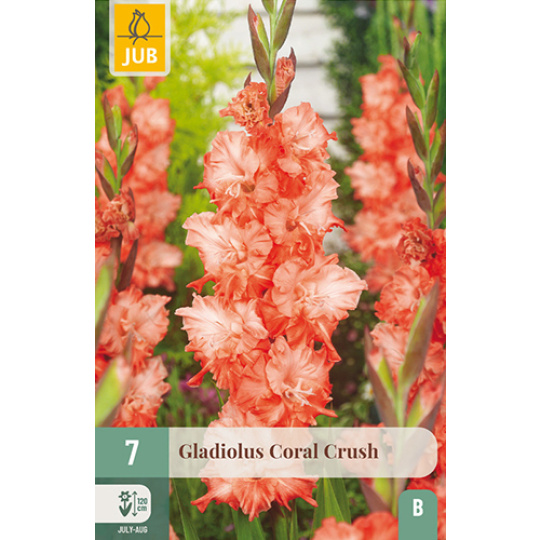 Karta - Mečík  CORAL CRUSH (7 cibulí) "B"