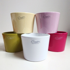 Obal 811 primule mix 3 barvy lesk 11 cm /vanilla, karmin, lemon/