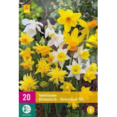 Karta XXL - Narcis - Botanical Mix ( 20 cibulí ) "E" Karta XXL - Narcis - Botanical Mix ( 20 cibulí ) "E"