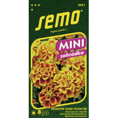 Aksamitník rozkladitý - Safari Yellow Fire 30s - série MINI (ZÁRUKA 2026) Aksamitník rozkladitý - Safari Yellow Fire 30s - série MINI (ZÁRUKA 2026)