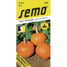 Tykev plazivá - Yellowgirls F1 (Halloween) 3g (ZÁRUKA 2026) Tykev plazivá - Yellowgirls F1 (Halloween) 3g (ZÁRUKA 2026)