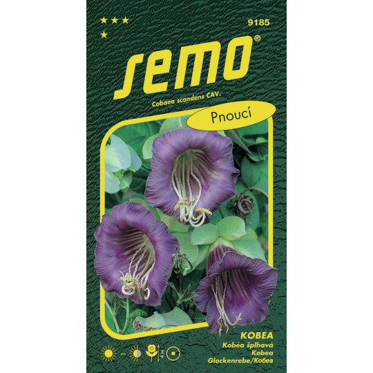 Kobea - vilec modrofialový Blue Bell 0,7g (ZÁRUKA 2026)