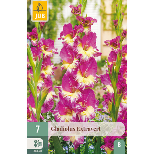 Karta - Mečík EXTRAVERT (7 cibulí) "B"