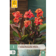 Karta - Kana PANACHE BLACK (1 hlíza) "B" Karta - Kana PANACHE BLACK (1 hlíza) "B"