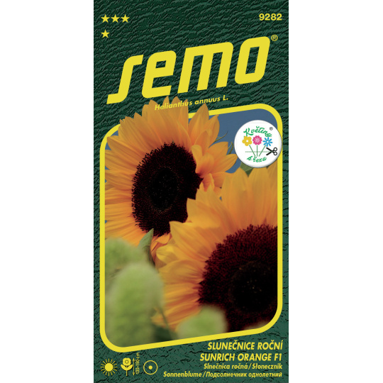 Slunečnice roční - Sunrich Orange F1 15s - série KVĚTINY K ŘEZU (ZÁRUKA 2026)