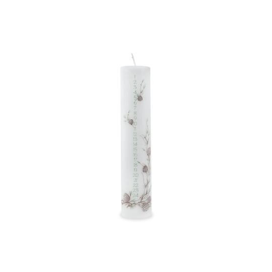 Svíčka adventní Calendar Pine Pillar 50x250 mm - bílá
