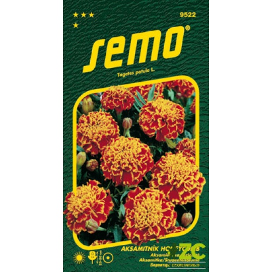 Aksamitník rozkladitý - Honeycomb (Super Hero Orange Flame) 30s