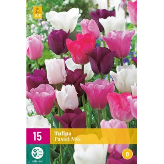 Karta XXL - Tulipán - Pastel Mix (12 cibulí) "E"