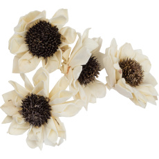 Dekorace - Sola Folded Star Daisy 6 cm - 50 ks Dekorace - Sola Folded Star Daisy 6 cm - 50 ks