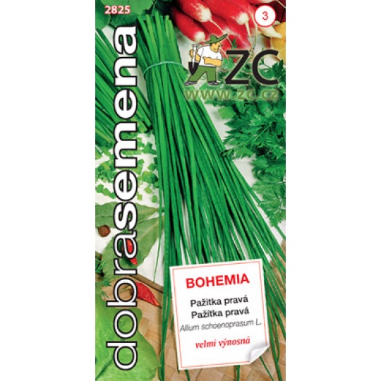 Dobrá semena Pažitka - Bohemia 2g
