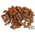 Dekorace - Birch pine (šišky)  min. 30 g