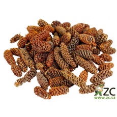 Dekorace - Birch pine (šišky)  min. 30 g