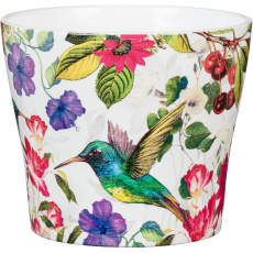 Obal 808 Tropicana lesk 11