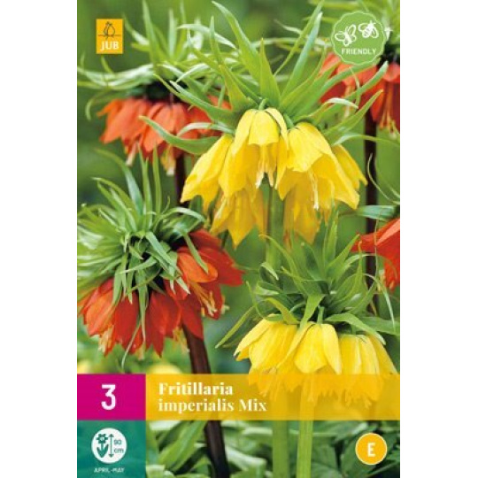 Karta XXL - Řepčík - Fritillaria Imp. Mix (3 cibule) "E+"