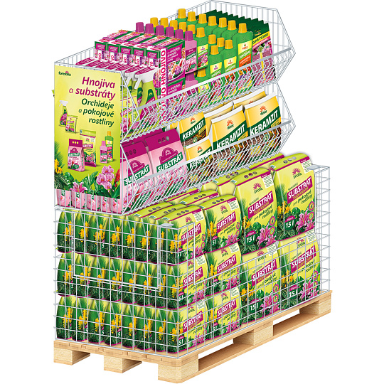 Koncept - Forestina Pokojové rostliny, orchideje