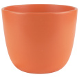 Obal primule Sevilla morning red mat 11 cm