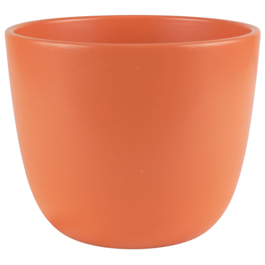 Obal primule Sevilla morning red mat 11 cm